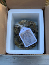 Load image into Gallery viewer, Weskeag Oysters - 100 Count