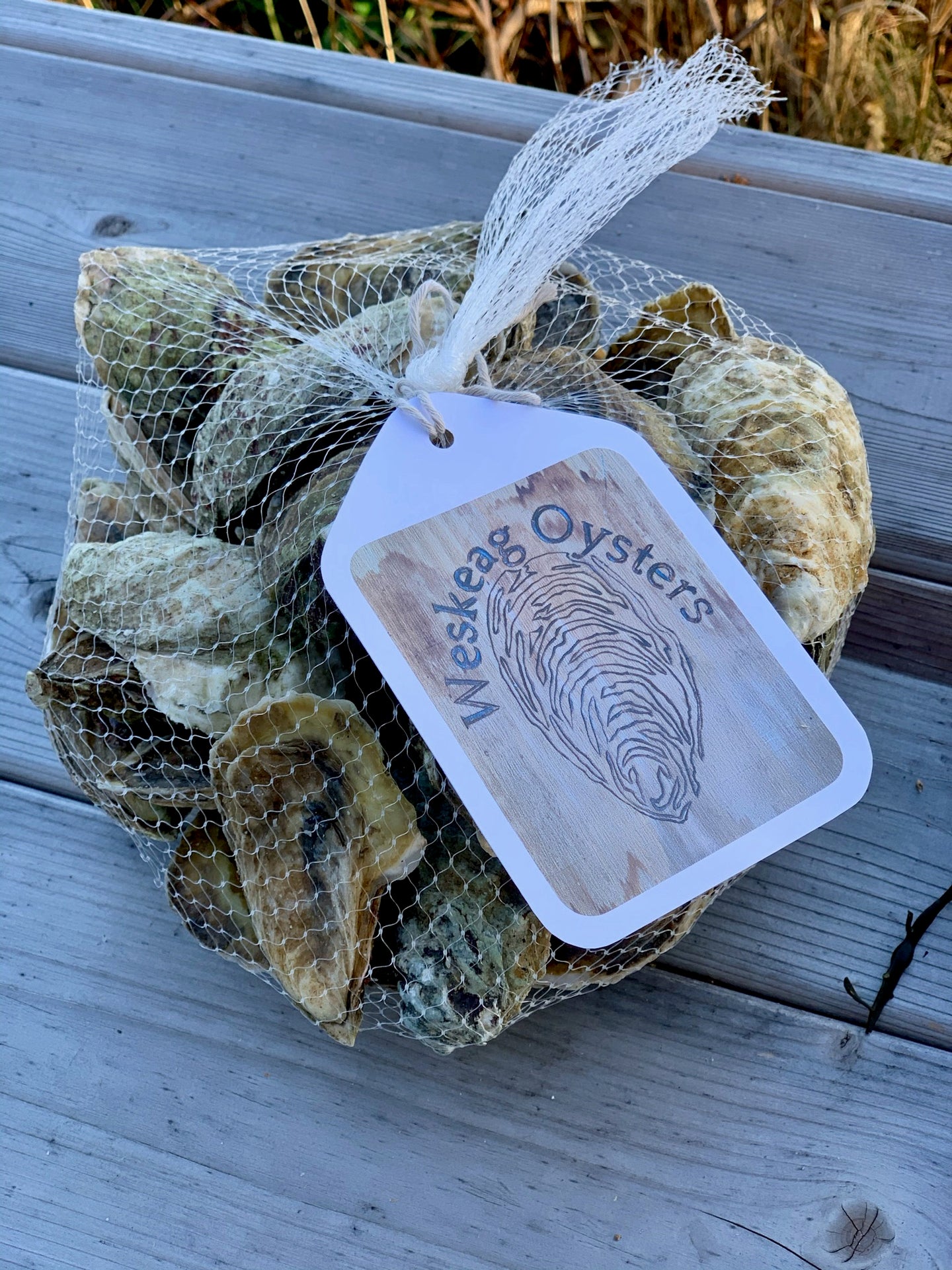 Weskeag Oysters - Three dozen - 36 Count